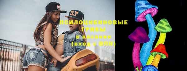шишки Краснослободск