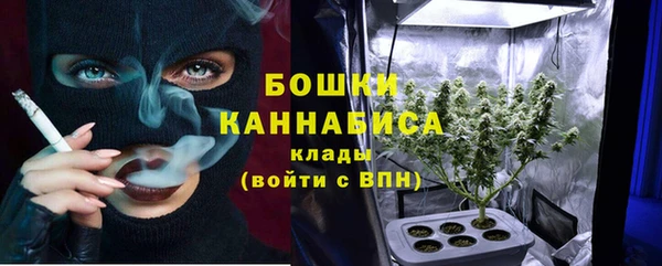 шишки Краснослободск
