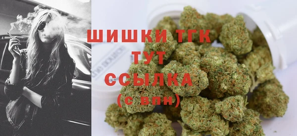 spice Куйбышев