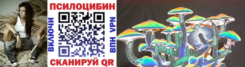 купить наркотики цена  Михайловка  Галлюциногенные грибы Magic Shrooms 