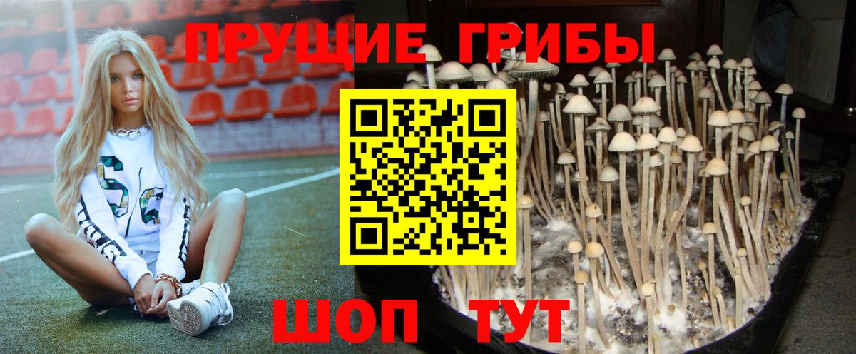 Галлюциногенные грибы прущие грибы Михайловка
