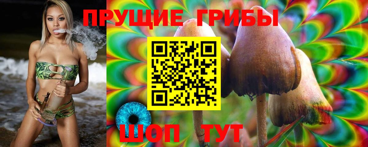 Галлюциногенные грибы мицелий Михайловка