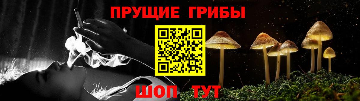 Галлюциногенные грибы Psilocybe  Вход с VPN  Псилоцибиновые грибы Psilocybine cubensis  Михайловка 